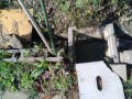 IMG_20261031_093448