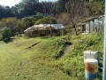 IMG_20261031_093519