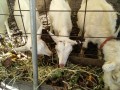 IMG_20261031_094004