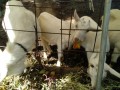 IMG_20261031_094012