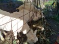 IMG_20261031_094055