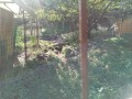 IMG_20261031_094100