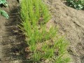 IMG_20261031_115144
