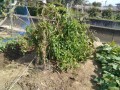 IMG_20261031_115152